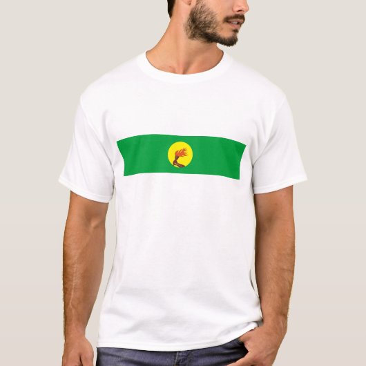 ザイールコンゴの国の長い旗の国家の記号の名前 Tシャツ (正面)