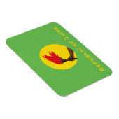 ザイール国旗 マグネット (右側)