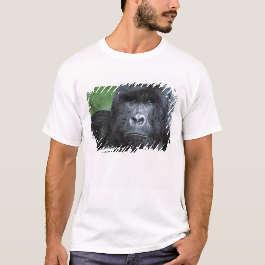 ザイール、ヴィルンガ国立公園の肖像 Tシャツ (正面)