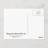 ザウィグリー建物IIはがき ポストカード (裏面)