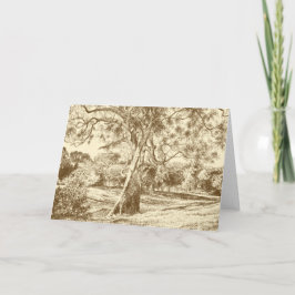 ザウィニーザプーの木 – サンキューカード