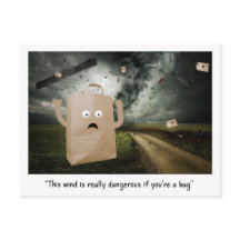 ザウィンディバッグ