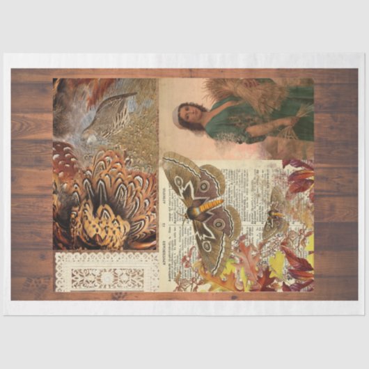 ザウィートギャザリングティッシュペーパー 薄葉紙 (正面)