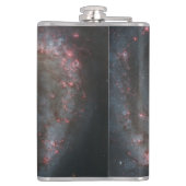 ザウィールプール銀河系M51および宇宙のコンパニオン フラスク (裏面)