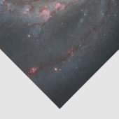 ザウィールプール銀河系M51および宇宙のコンパニオン 薄葉紙 (詳細)