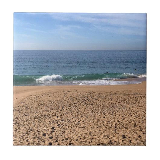 ザウェッジ、ニューポートビーチ、カリフォルニア タイル (正面)