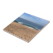 ザウェッジ、ニューポートビーチ、カリフォルニア タイル (側面)