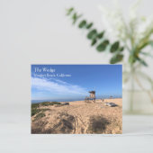 ザウェッジ、ニューポートビーチ、カリフォルニア ポストカード (スタンド正面)