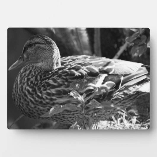 ザウォッチャー フォトプラーク (正面)