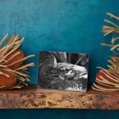 ザウォッチャー フォトプラーク (側面)