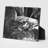 ザウォッチャー フォトプラーク (側面)