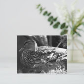 ザウォッチャー ポストカード (スタンド正面)