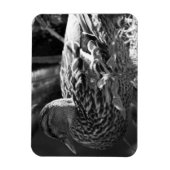 ザウォッチャー マグネット (縦)