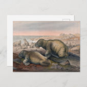 ザウォラスバイジョセフウルフ ポストカード (正面/裏面)