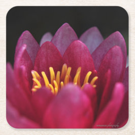 ザウォーターリリー スクエアペーパーコースター