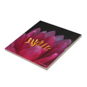 ザウォーターリリー タイル (側面)