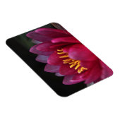 ザウォーターリリー マグネット (右側)