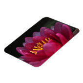 ザウォーターリリー マグネット (左側)