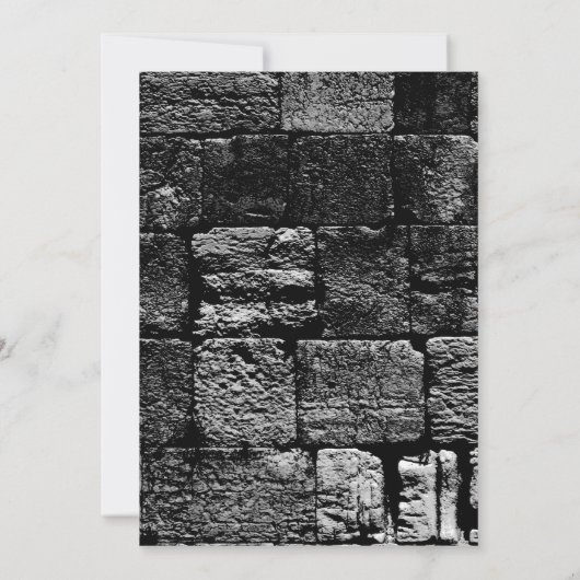 ザウォールバーこうもり招待状招待状 招待状 (裏面)