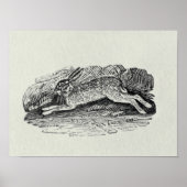 ザウサギ ポスター (正面)