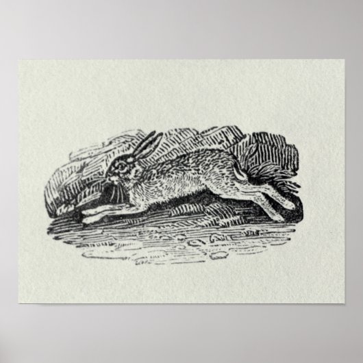 ザウサギ ポスター (正面)