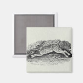 ザウサギ マグネット (正面/裏面)