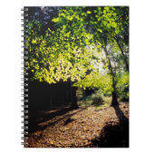 ザウッズイン春 ノートブック (正面)