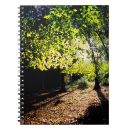 ザウッズイン春 ノートブック