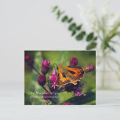 ザウッドランド・カツオ・バタフライ シーズンポストカード (スタンド正面)