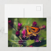 ザウッドランド・カツオ・バタフライ シーズンポストカード (正面/裏面)