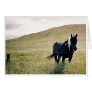 ザウマ絵を描ー