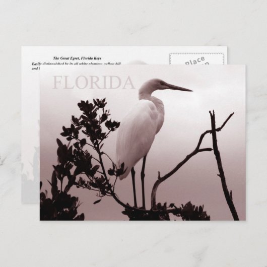 ザエグレ素晴らしト – フロリダ鍵 ポストカード (正面/裏面)