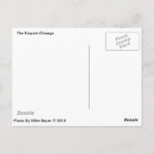 ザエスクワール、ヴィンテージシカゴネオン徴候 ポストカード (裏面)