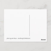 ザエセルウォーカースクール、シムズベリー、CT ポストカード (裏面)