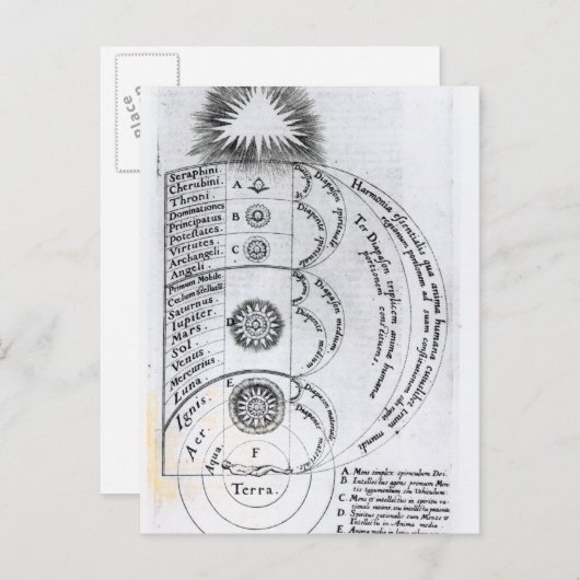 ザエッセンシャル調和 ポストカード (正面/裏面)