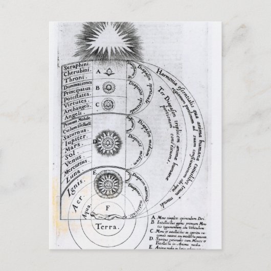 ザエッセンシャル調和 ポストカード (正面)