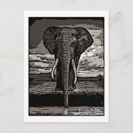 ザエレファント ポストカード