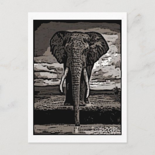 ザエレファント ポストカード (正面)