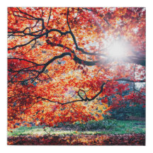 ザエンドレスチャーム