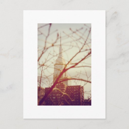 ザエンパイア・ステート・建物（ニューヨーク） ポストカード (正面)