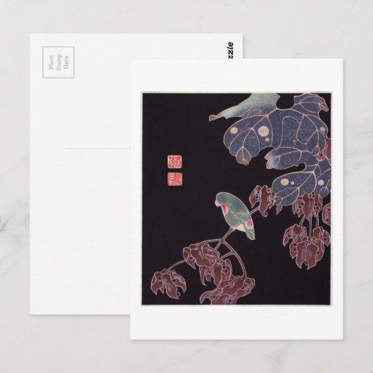 ザオウム寂聴 ポストカード (正面/裏面)