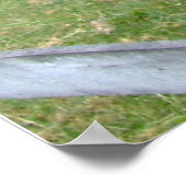 ザオリジナルジャッカスおもしろいドンキーミュールファーム動物 ポスター (角)