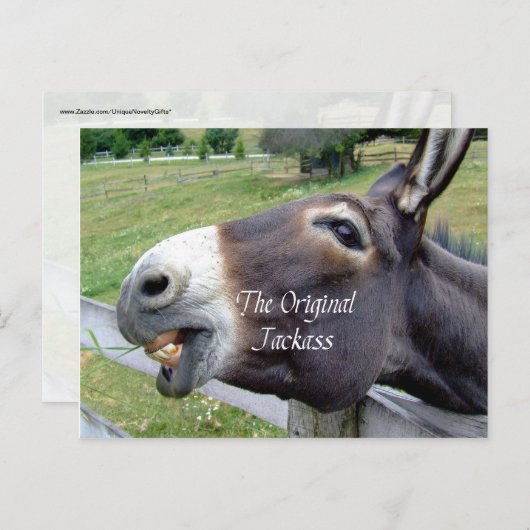ザオリジナルジャッカスおもしろいドンキーミュールファーム動物 ポストカード (正面/裏面)