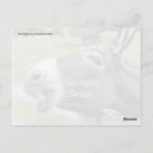 ザオリジナルジャッカスおもしろいドンキーミュールファーム動物 ポストカード (裏面)