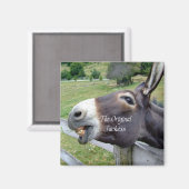 ザオリジナルジャッカスおもしろいドンキーミュールファーム動物 マグネット (正面/裏面)