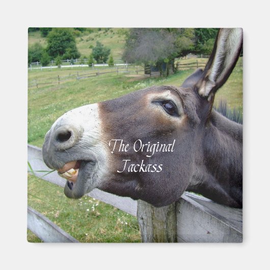 ザオリジナルジャッカスおもしろいドンキーミュールファーム動物 マグネット (正面)