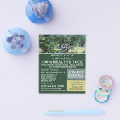 ザオリーブツリー、ヴァンゴッホ、ヘルスフードストア チラシ (シングル)