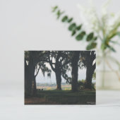 ザオレンジグローブ過去ザオークツリーズ ポストカード (スタンド正面)