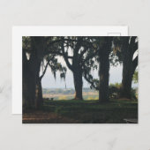 ザオレンジグローブ過去ザオークツリーズ ポストカード (正面/裏面)