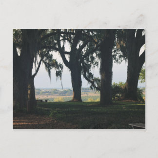 ザオレンジグローブ過去ザオークツリーズ ポストカード